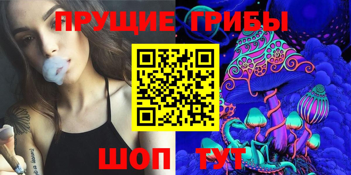 где купить наркотик  Вход с VPN  Железноводск  Псилоцибиновые грибы Magic Shrooms 